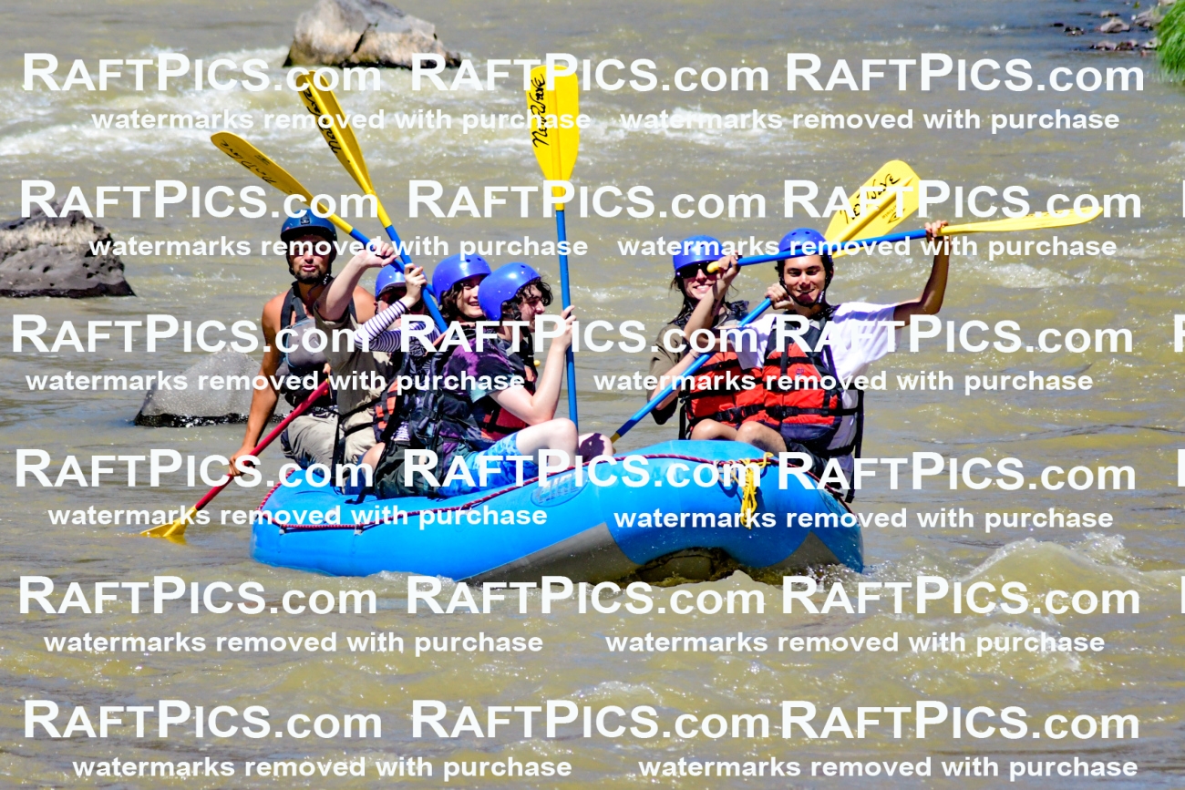 009499_Raftpics_August-17__NEW_WAVE__Racecourse_PM_KA_Rui_KLA8936