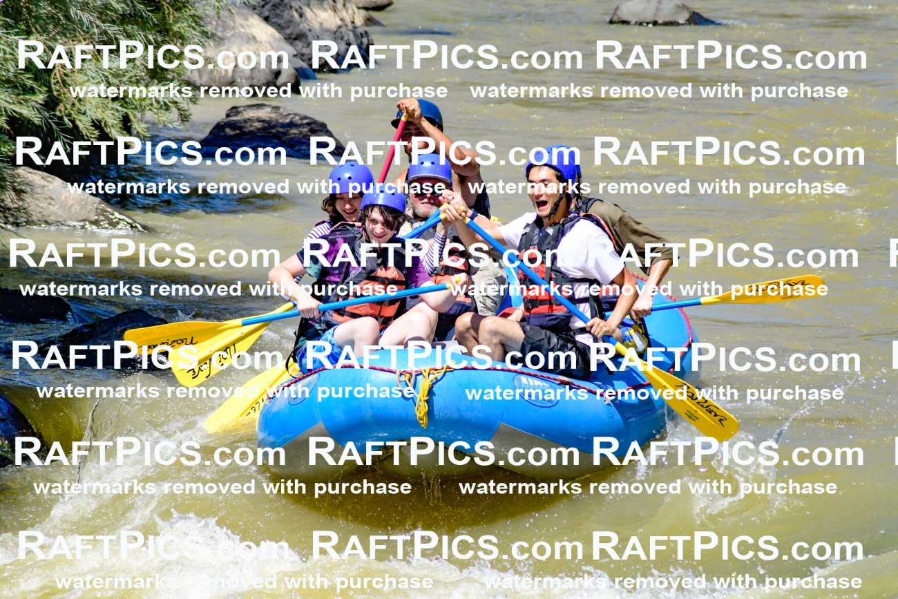 009501_Raftpics_August-17__NEW_WAVE__Racecourse_PM_KA_Rui_KLA8938