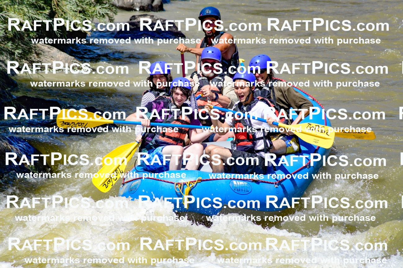 009502_Raftpics_August-17__NEW_WAVE__Racecourse_PM_KA_Rui_KLA8939