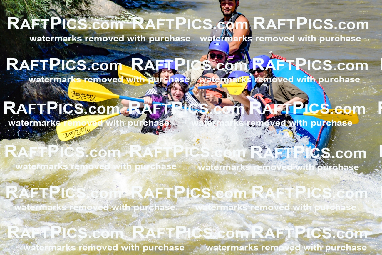 009504_Raftpics_August-17__NEW_WAVE__Racecourse_PM_KA_Rui_KLA8941