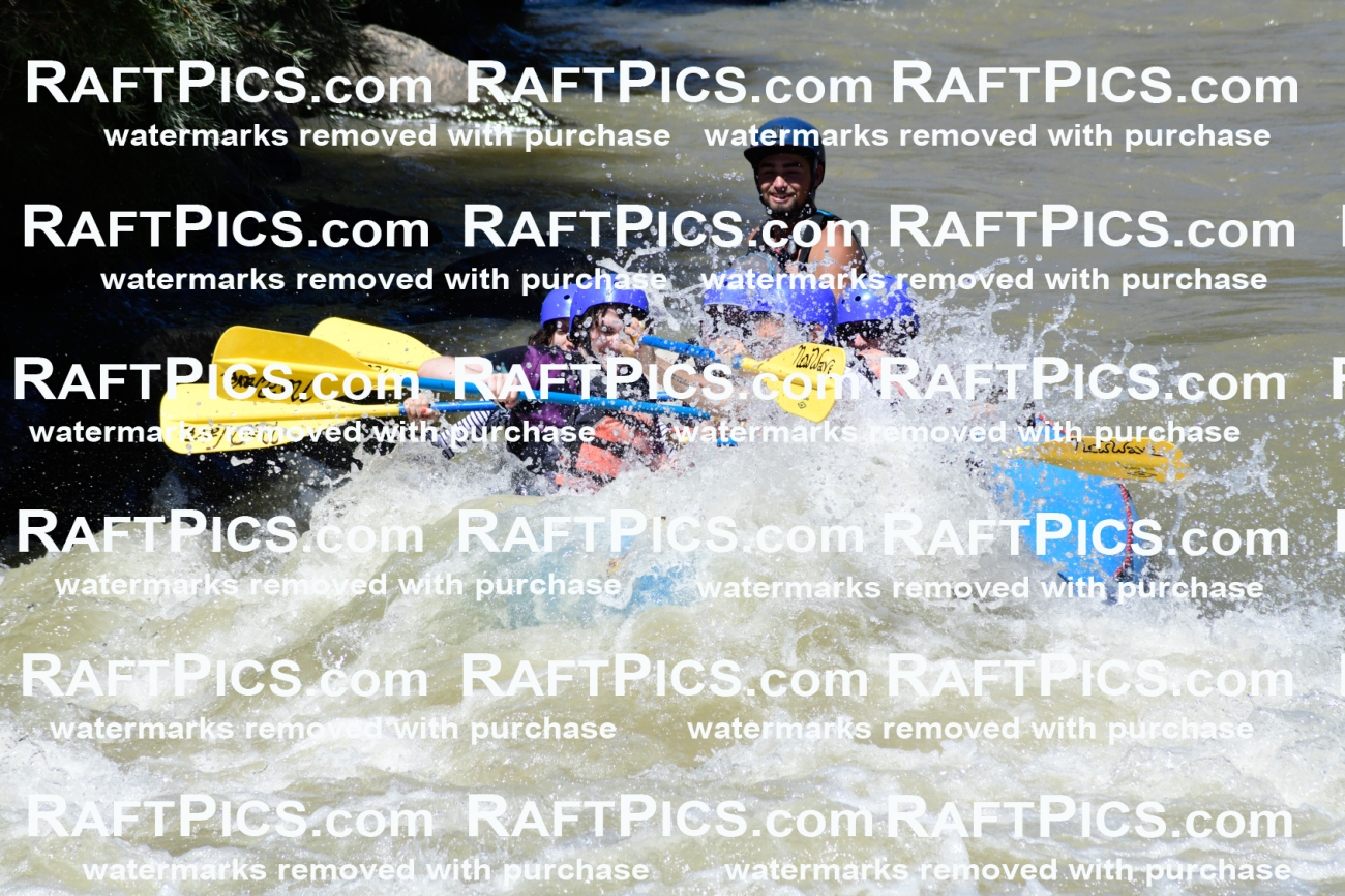 009505_Raftpics_August-17__NEW_WAVE__Racecourse_PM_KA_Rui_KLA8942