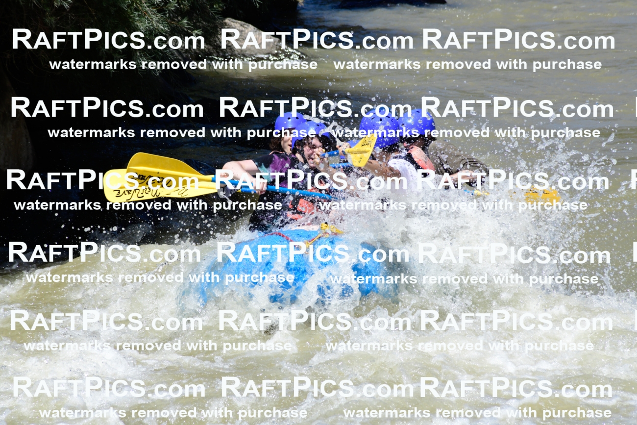 009506_Raftpics_August-17__NEW_WAVE__Racecourse_PM_KA_Rui_KLA8943