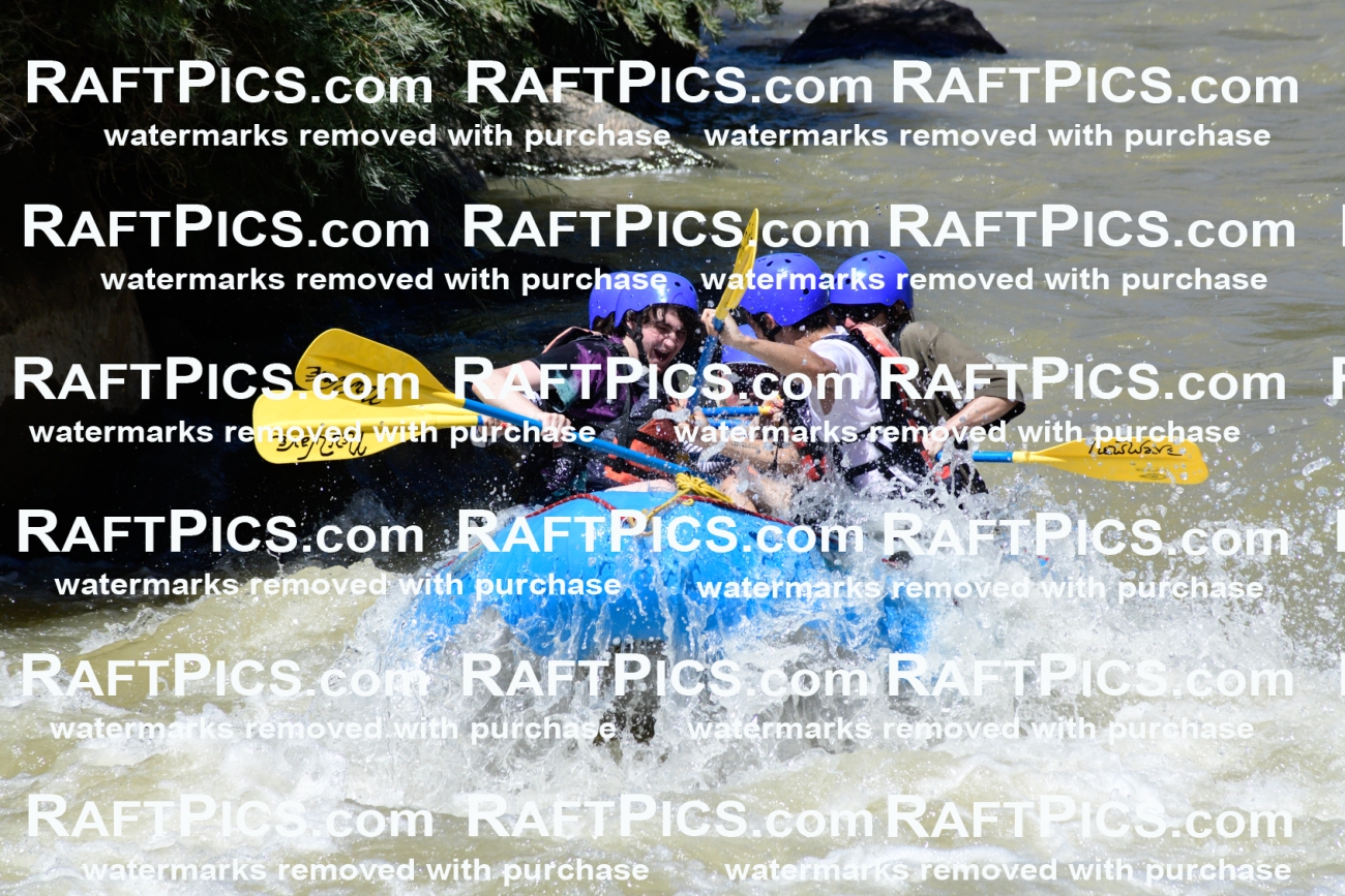 009507_Raftpics_August-17__NEW_WAVE__Racecourse_PM_KA_Rui_KLA8944