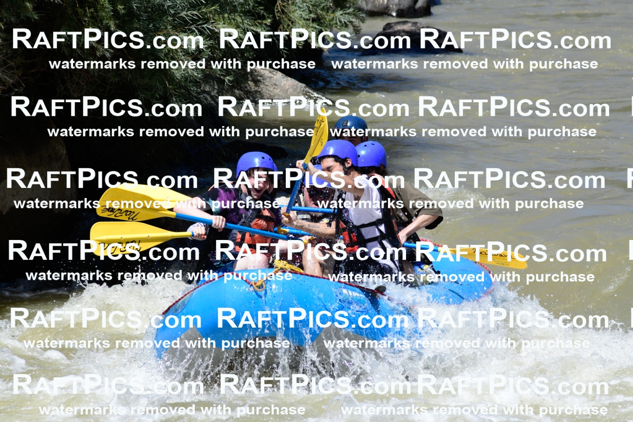 009508_Raftpics_August-17__NEW_WAVE__Racecourse_PM_KA_Rui_KLA8945