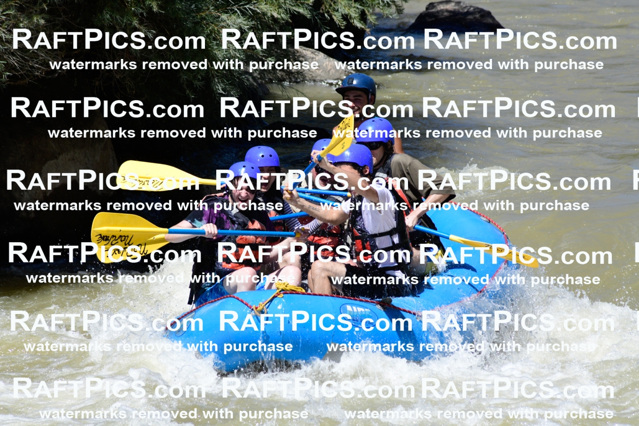 009509_Raftpics_August-17__NEW_WAVE__Racecourse_PM_KA_Rui_KLA8946