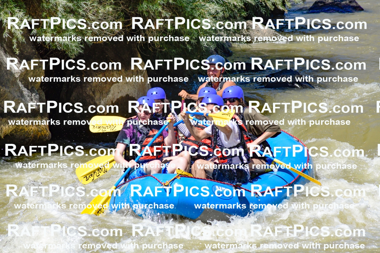 009511_Raftpics_August-17__NEW_WAVE__Racecourse_PM_KA_Rui_KLA8948