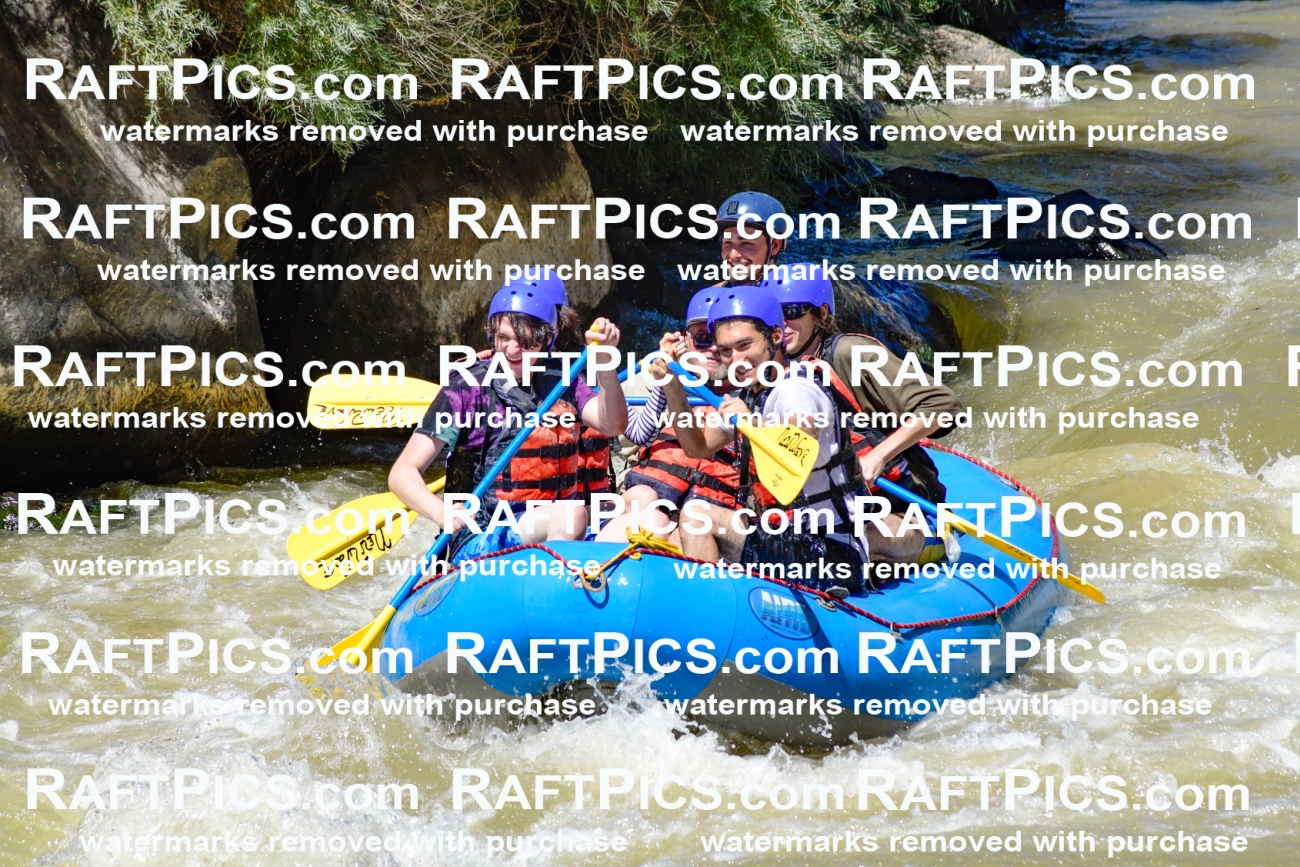 009512_Raftpics_August-17__NEW_WAVE__Racecourse_PM_KA_Rui_KLA8949