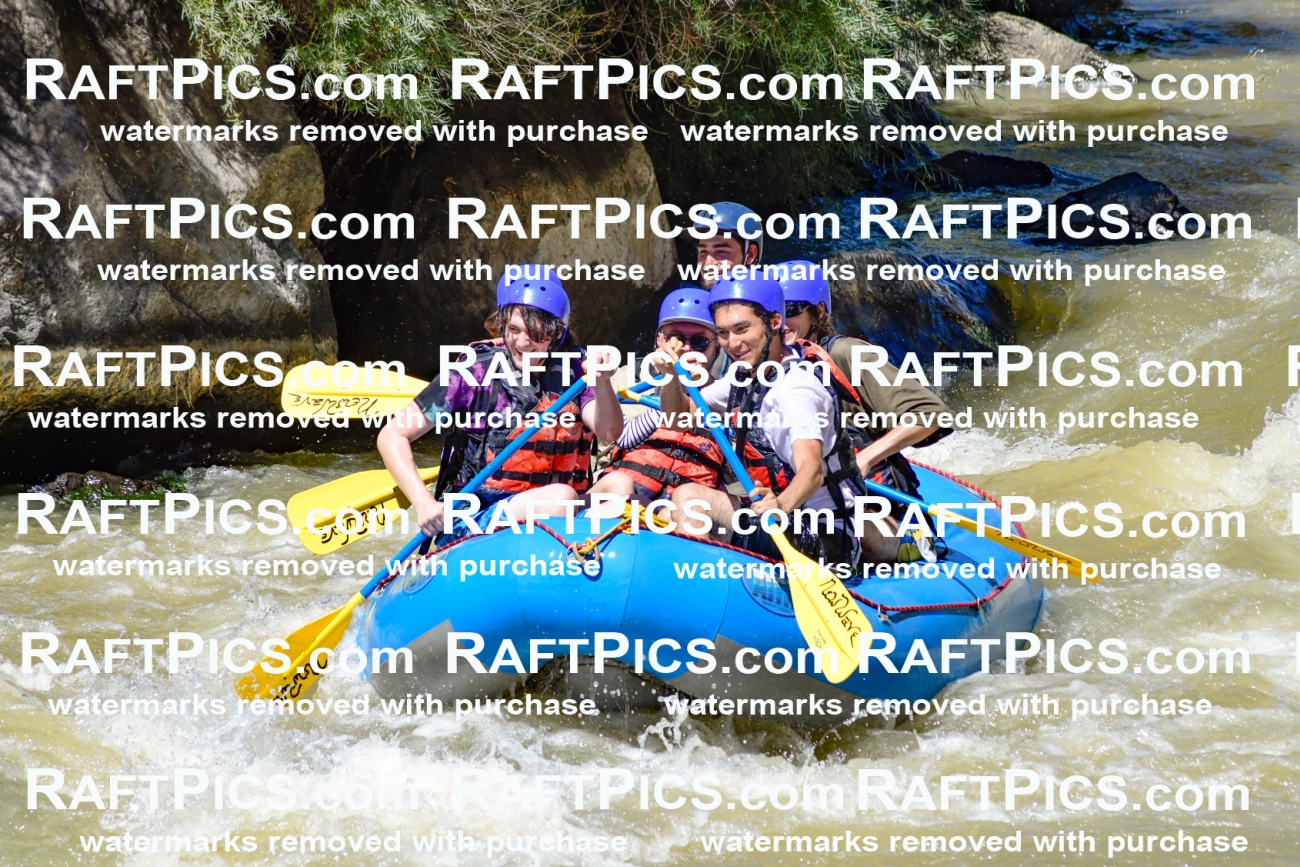 009513_Raftpics_August-17__NEW_WAVE__Racecourse_PM_KA_Rui_KLA8950