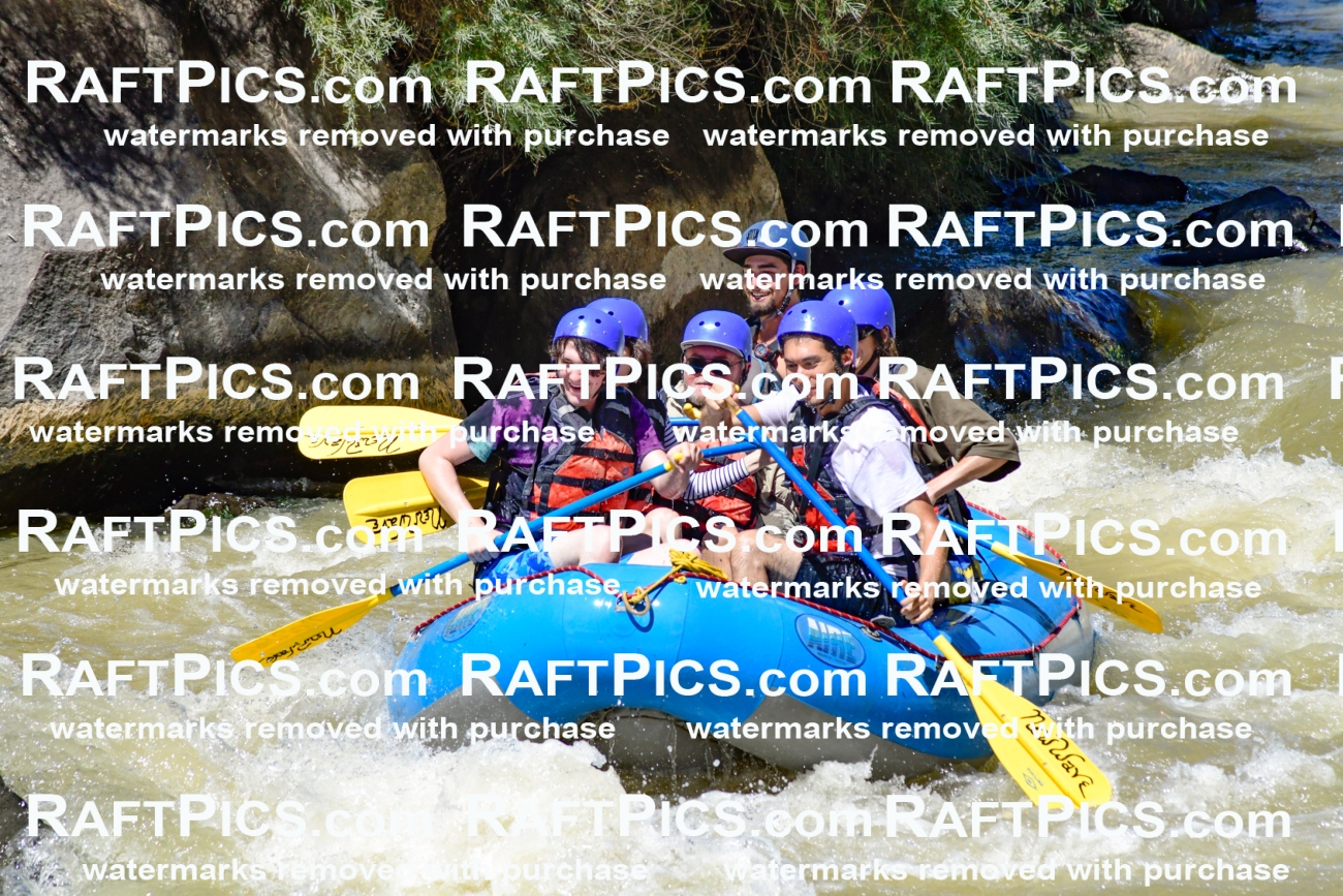 009514_Raftpics_August-17__NEW_WAVE__Racecourse_PM_KA_Rui_KLA8951