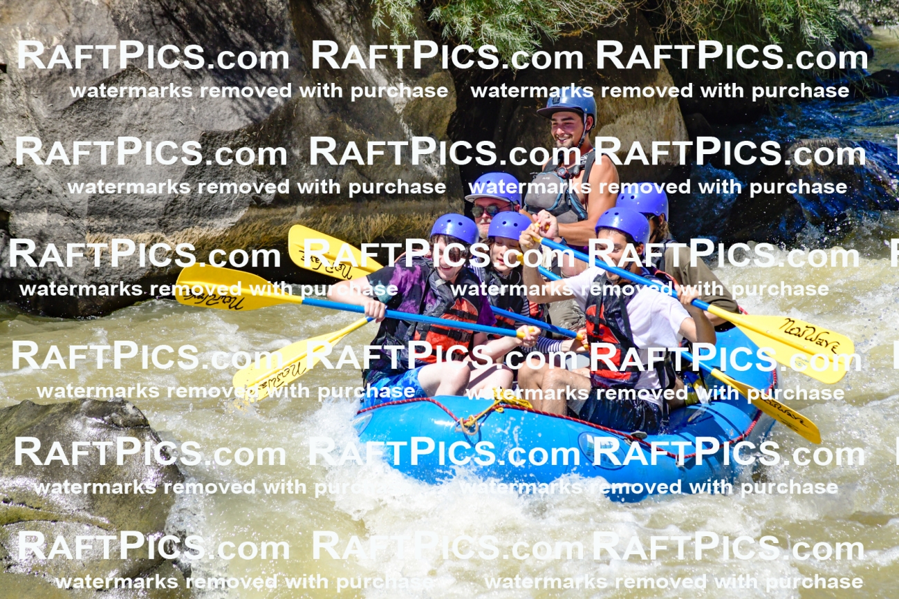 009516_Raftpics_August-17__NEW_WAVE__Racecourse_PM_KA_Rui_KLA8953