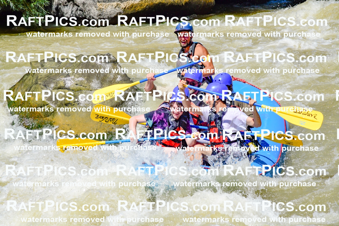 009520_Raftpics_August-17__NEW_WAVE__Racecourse_PM_KA_Rui_KLA8957