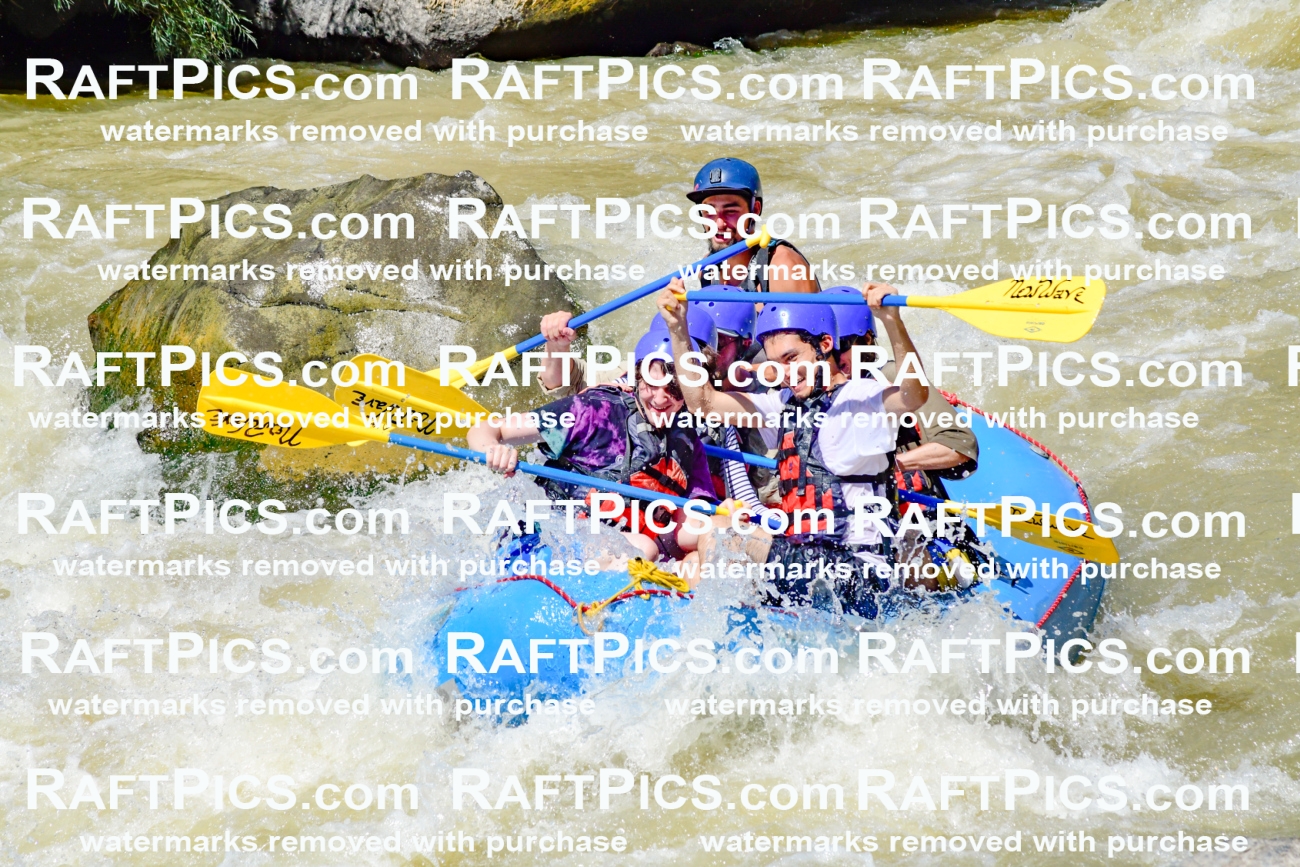 009521_Raftpics_August-17__NEW_WAVE__Racecourse_PM_KA_Rui_KLA8958