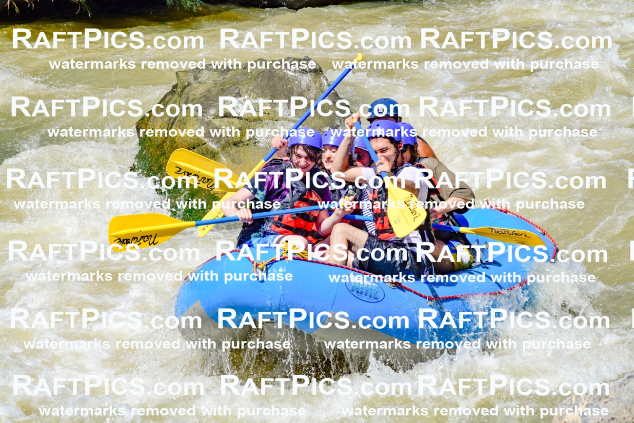 009522_Raftpics_August-17__NEW_WAVE__Racecourse_PM_KA_Rui_KLA8959