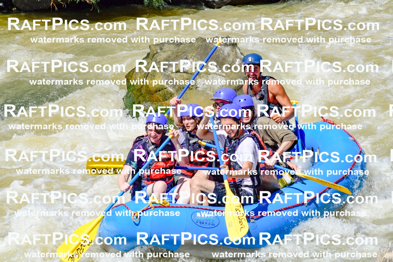 009523_Raftpics_August-17__NEW_WAVE__Racecourse_PM_KA_Rui_KLA8960