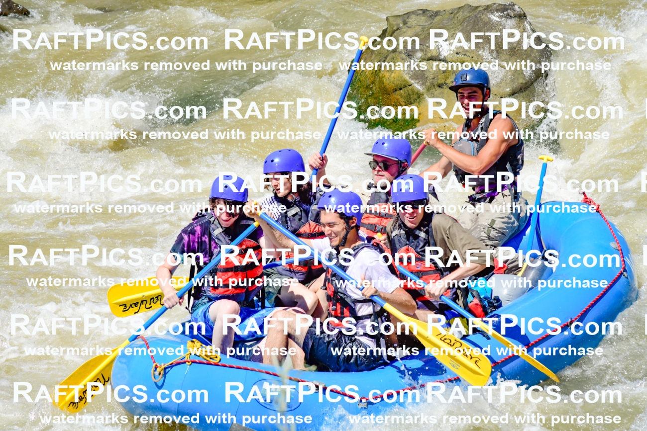 009525_Raftpics_August-17__NEW_WAVE__Racecourse_PM_KA_Rui_KLA8962