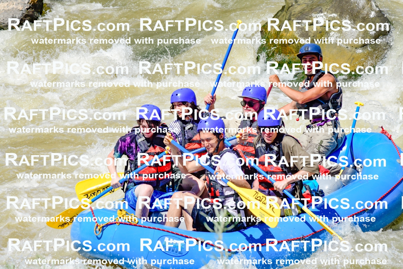 009526_Raftpics_August-17__NEW_WAVE__Racecourse_PM_KA_Rui_KLA8963