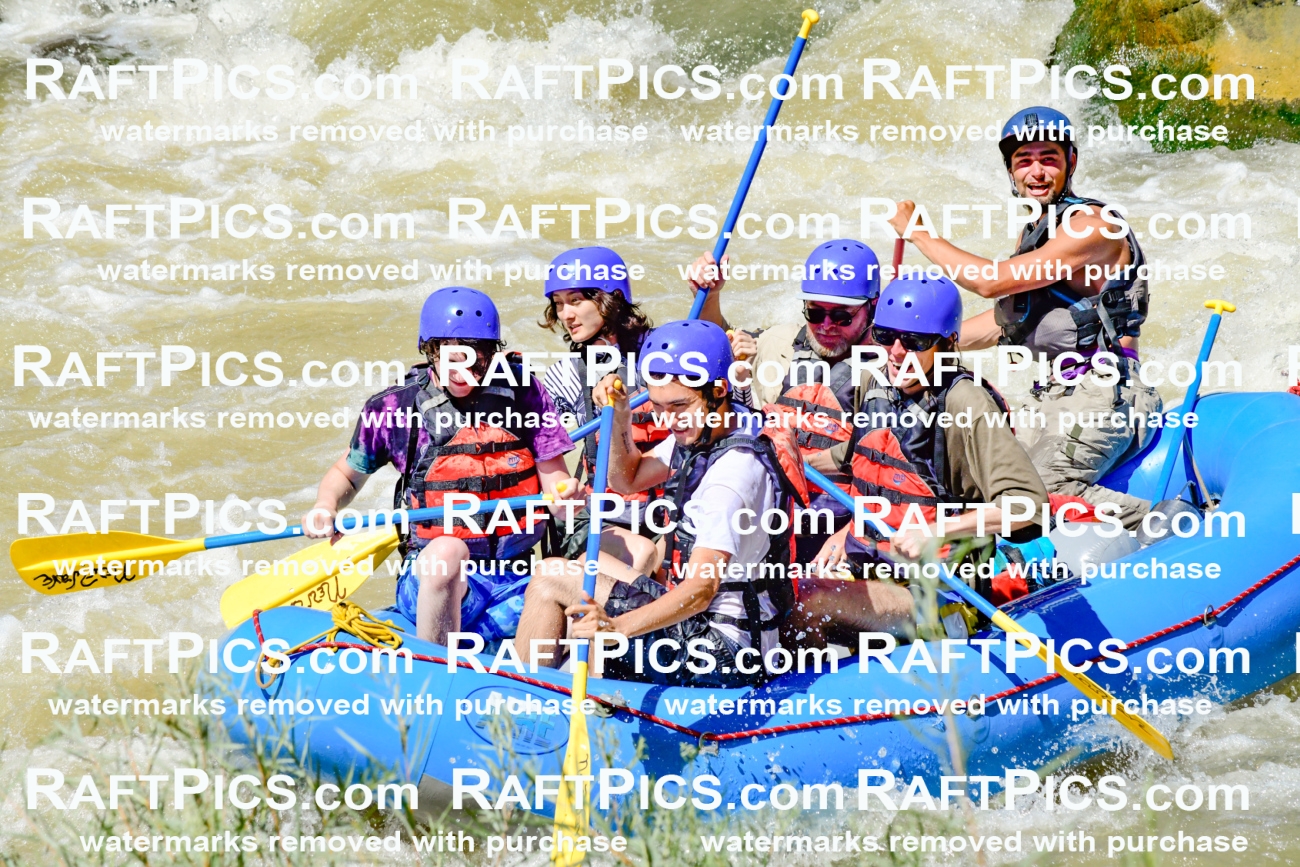 009527_Raftpics_August-17__NEW_WAVE__Racecourse_PM_KA_Rui_KLA8964