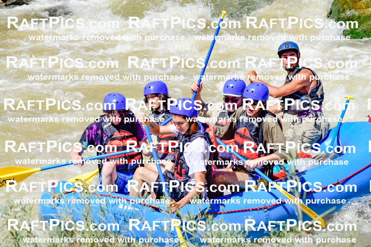 009528_Raftpics_August-17__NEW_WAVE__Racecourse_PM_KA_Rui_KLA8965