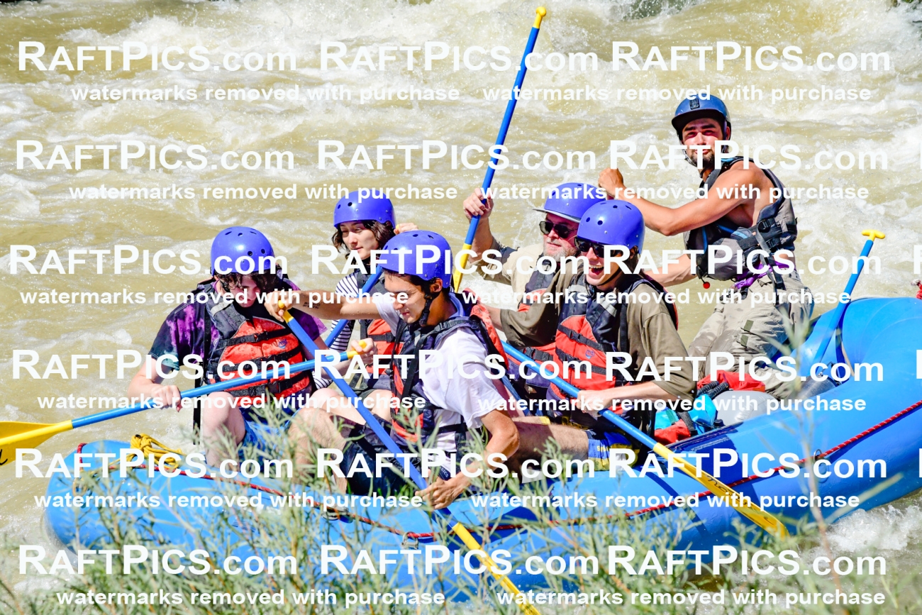 009529_Raftpics_August-17__NEW_WAVE__Racecourse_PM_KA_Rui_KLA8966