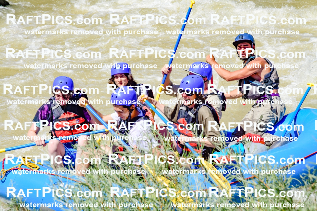 009530_Raftpics_August-17__NEW_WAVE__Racecourse_PM_KA_Rui_KLA8967