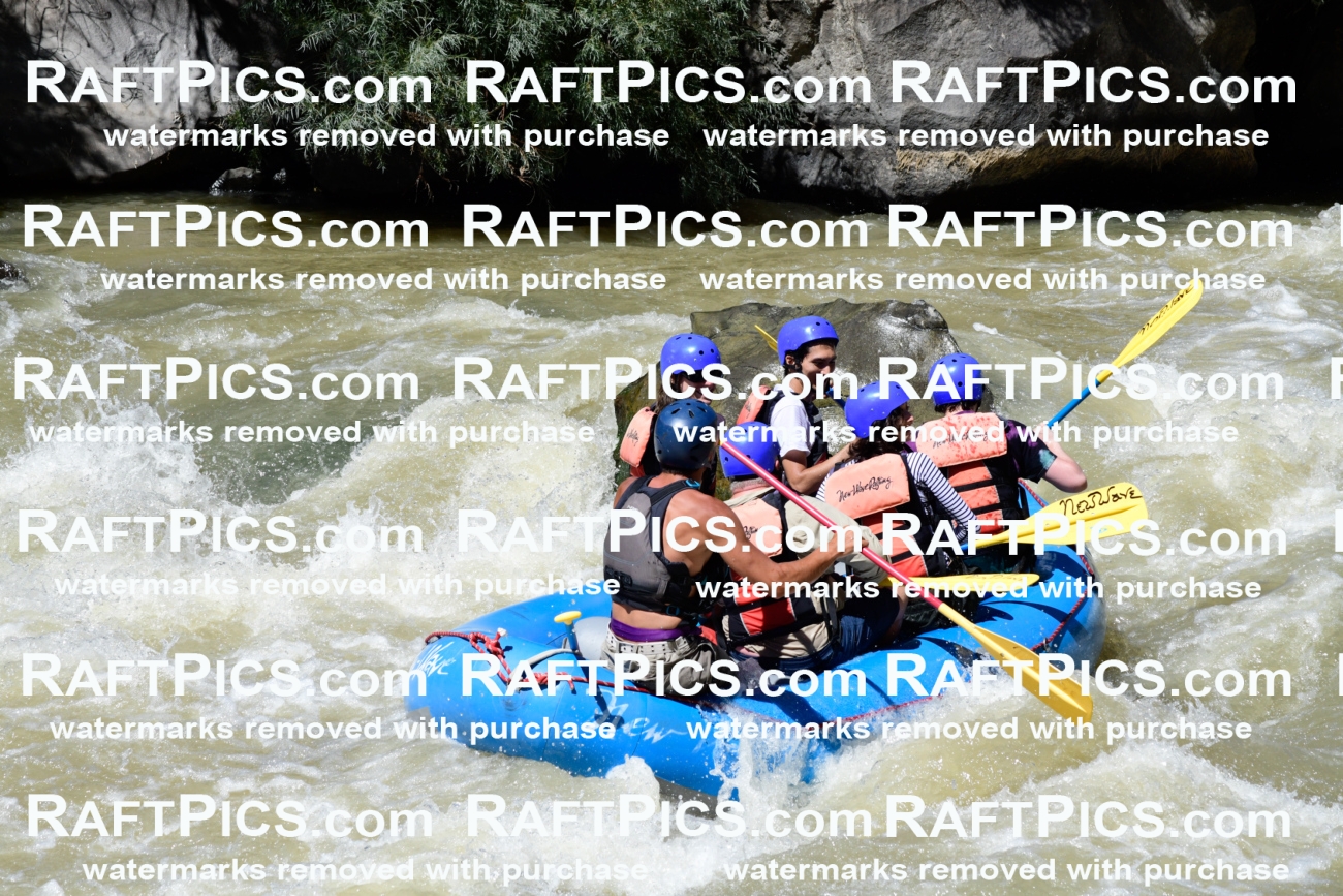 009531_Raftpics_August-17__NEW_WAVE__Racecourse_PM_KA_Rui_KLA8968