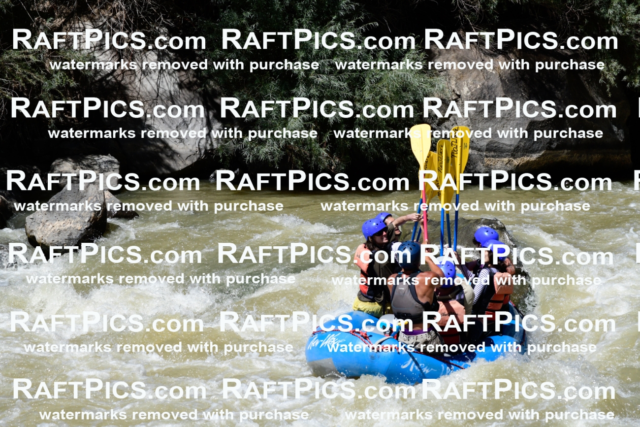 009532_Raftpics_August-17__NEW_WAVE__Racecourse_PM_KA_Rui_KLA8969