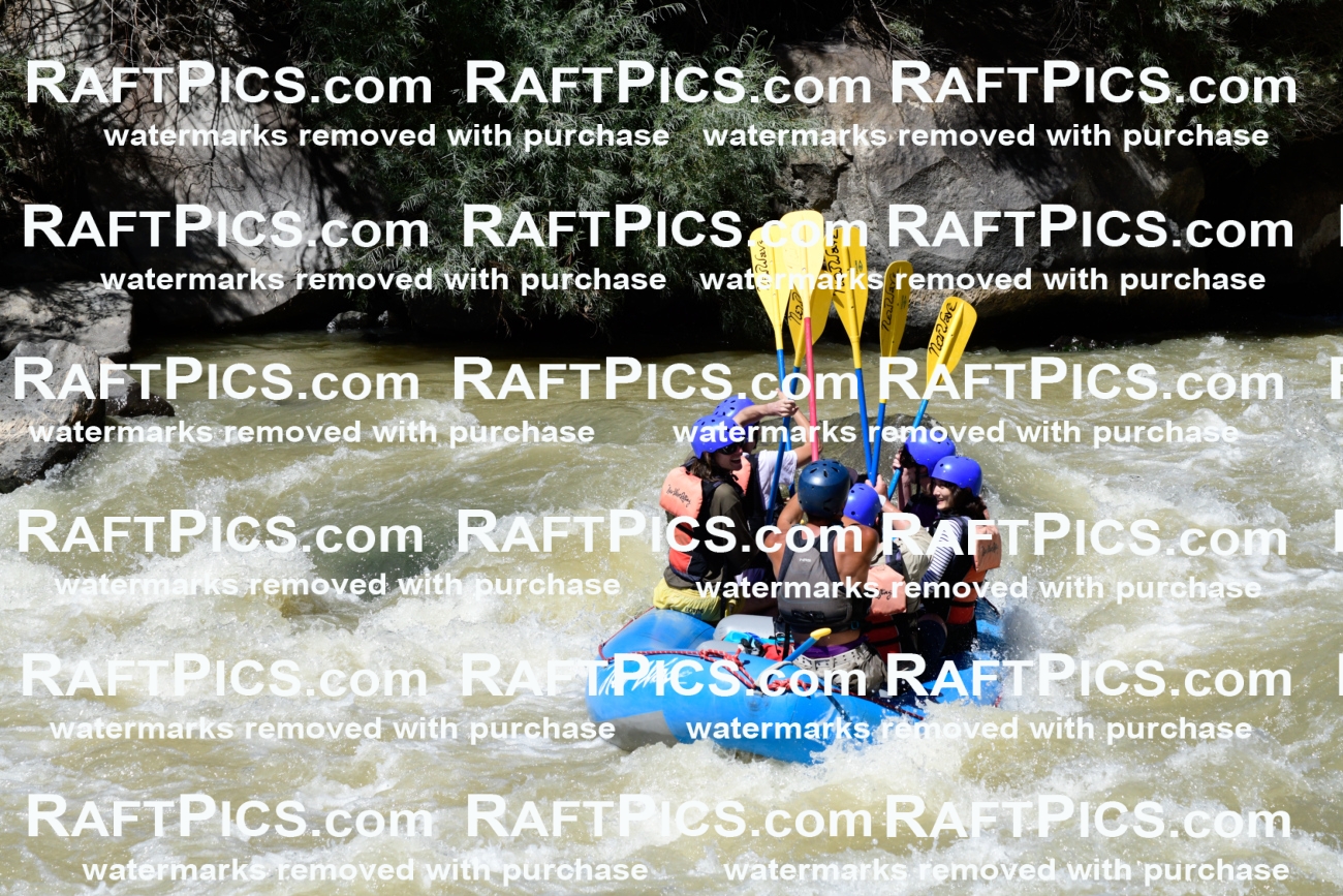 009533_Raftpics_August-17__NEW_WAVE__Racecourse_PM_KA_Rui_KLA8970