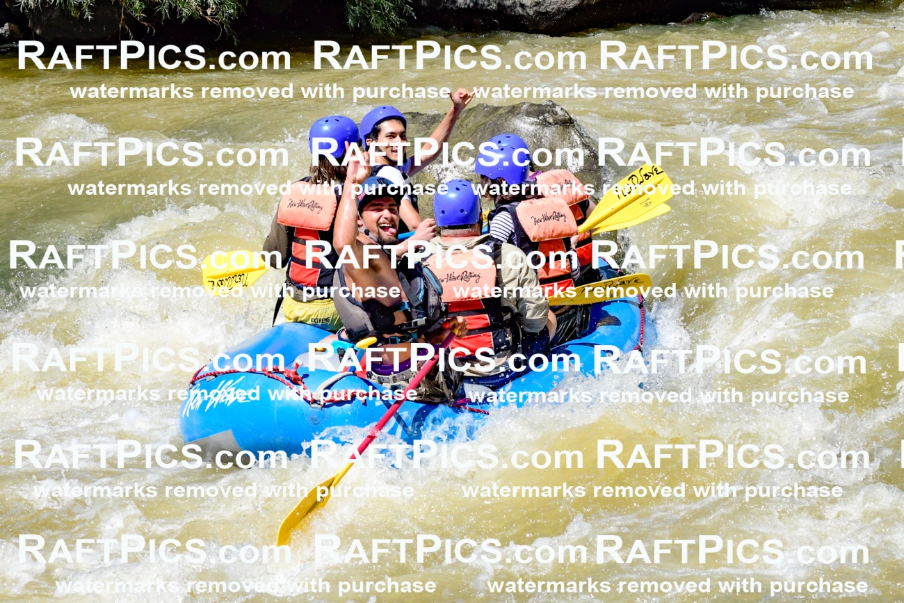 009534_Raftpics_August-17__NEW_WAVE__Racecourse_PM_KA_Rui_KLA8971