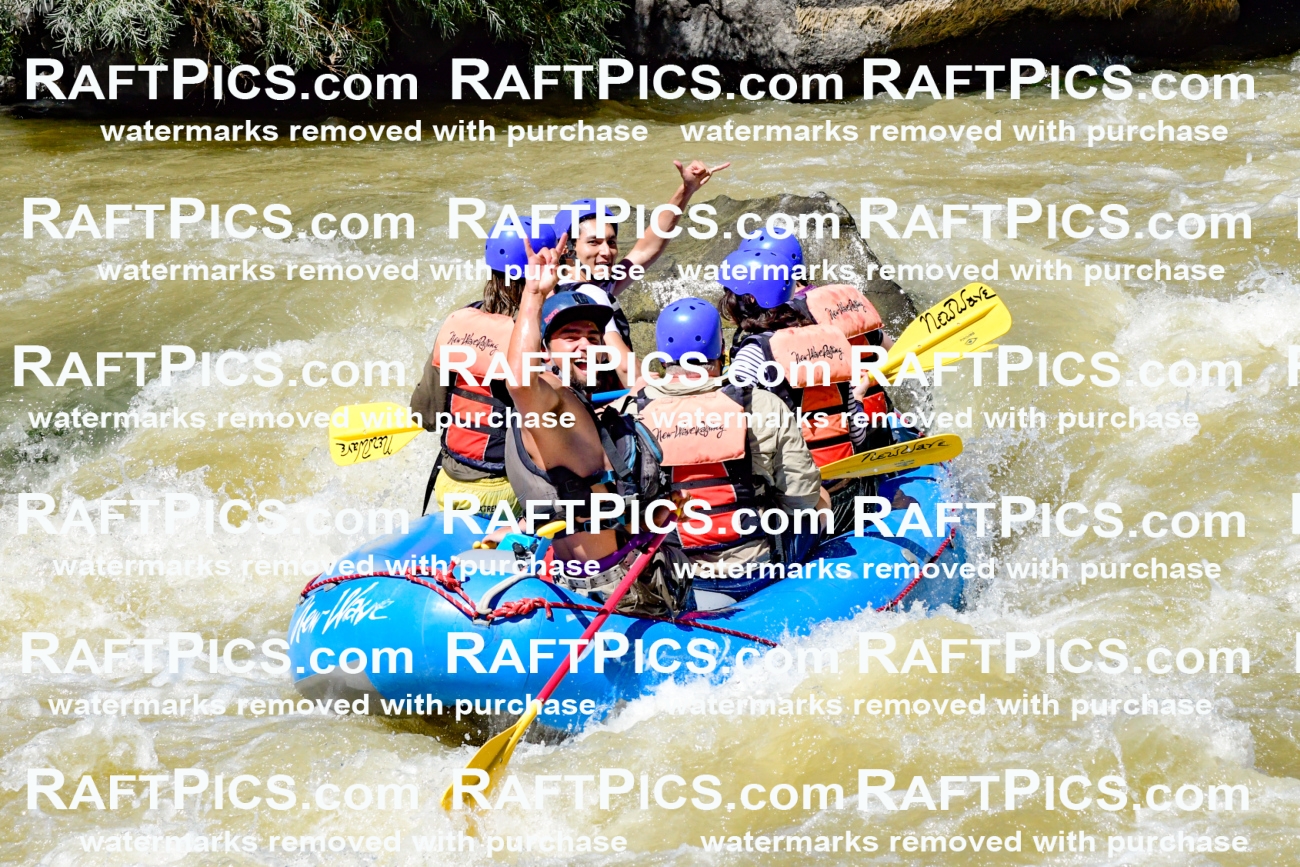 009535_Raftpics_August-17__NEW_WAVE__Racecourse_PM_KA_Rui_KLA8972