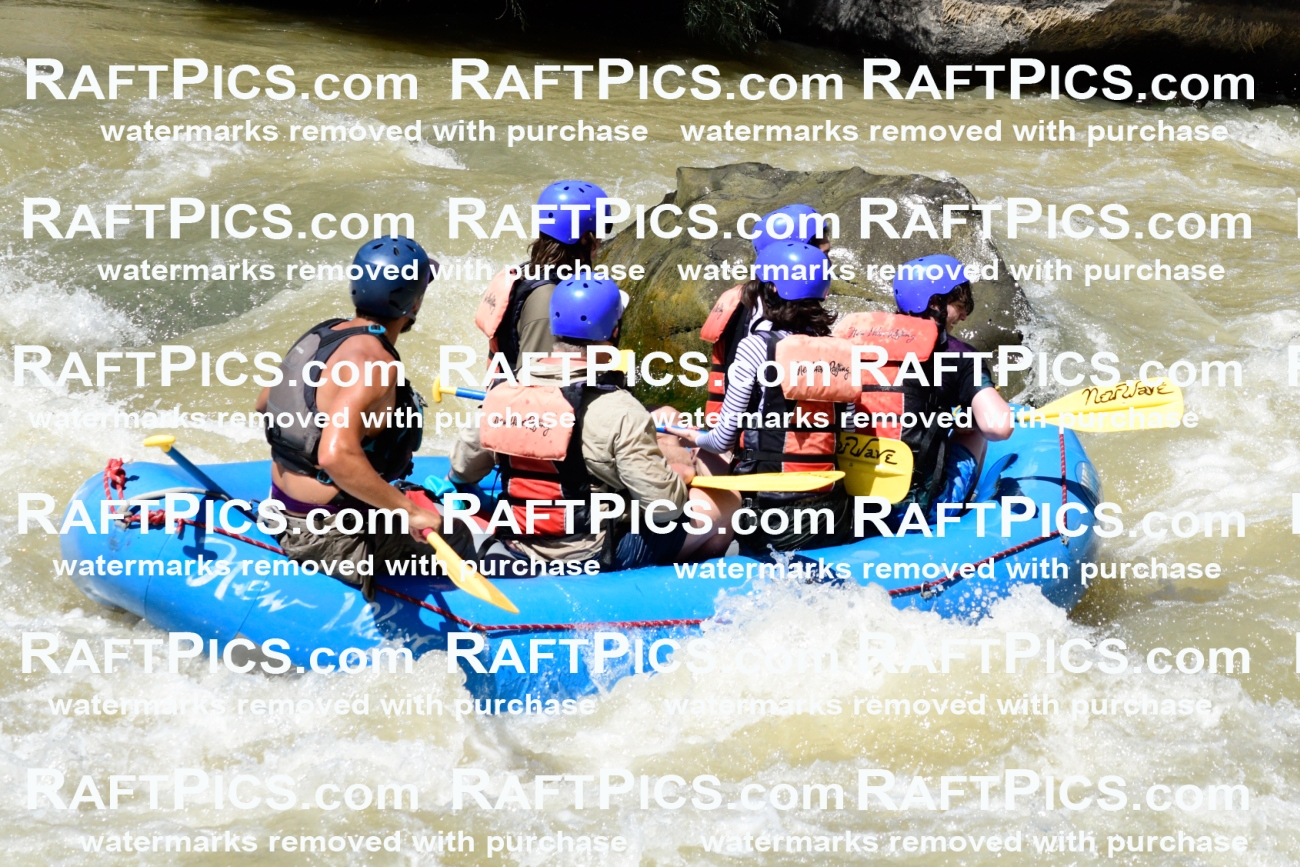 009537_Raftpics_August-17__NEW_WAVE__Racecourse_PM_KA_Rui_KLA8974