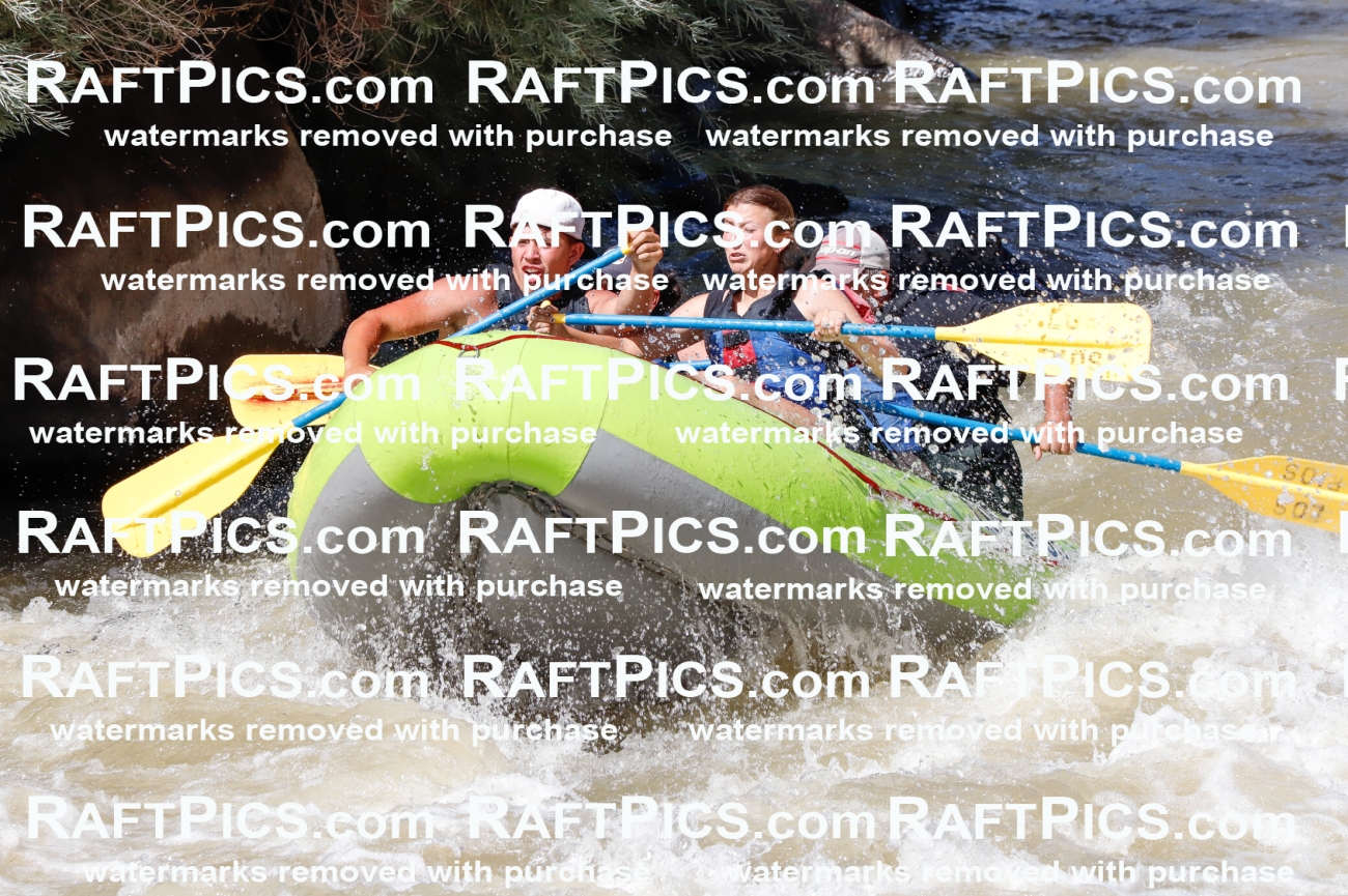 028288_RaftPics_August_17_LosRios_Racecourse_PM_Brodie_TC_