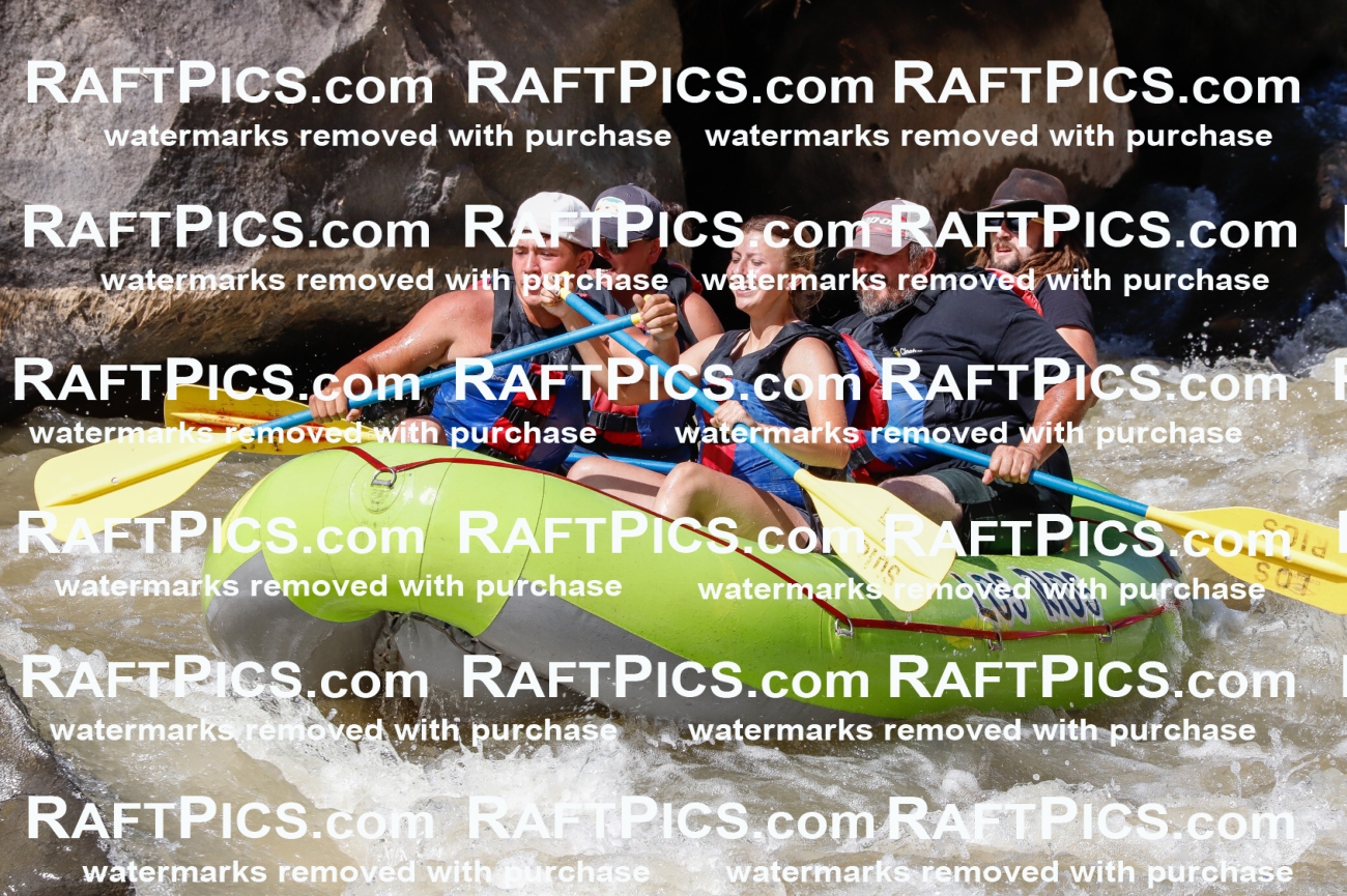 028292_RaftPics_August_17_LosRios_Racecourse_PM_Brodie_TC_