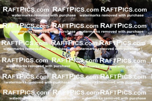 028297_RaftPics_August_17_LosRios_Racecourse_PM_Brodie_TC_