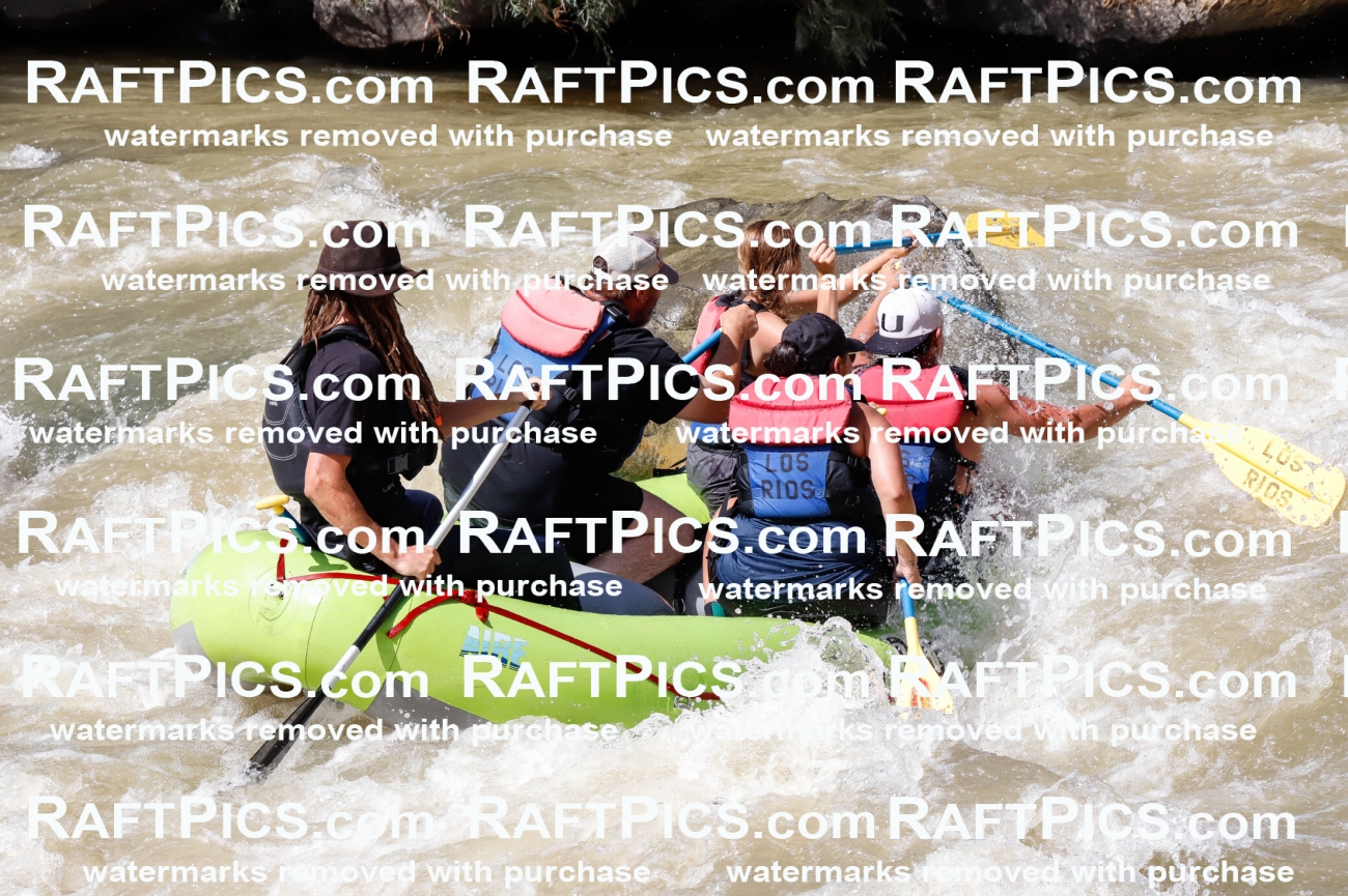 028318_RaftPics_August_17_LosRios_Racecourse_PM_Brodie_TC_