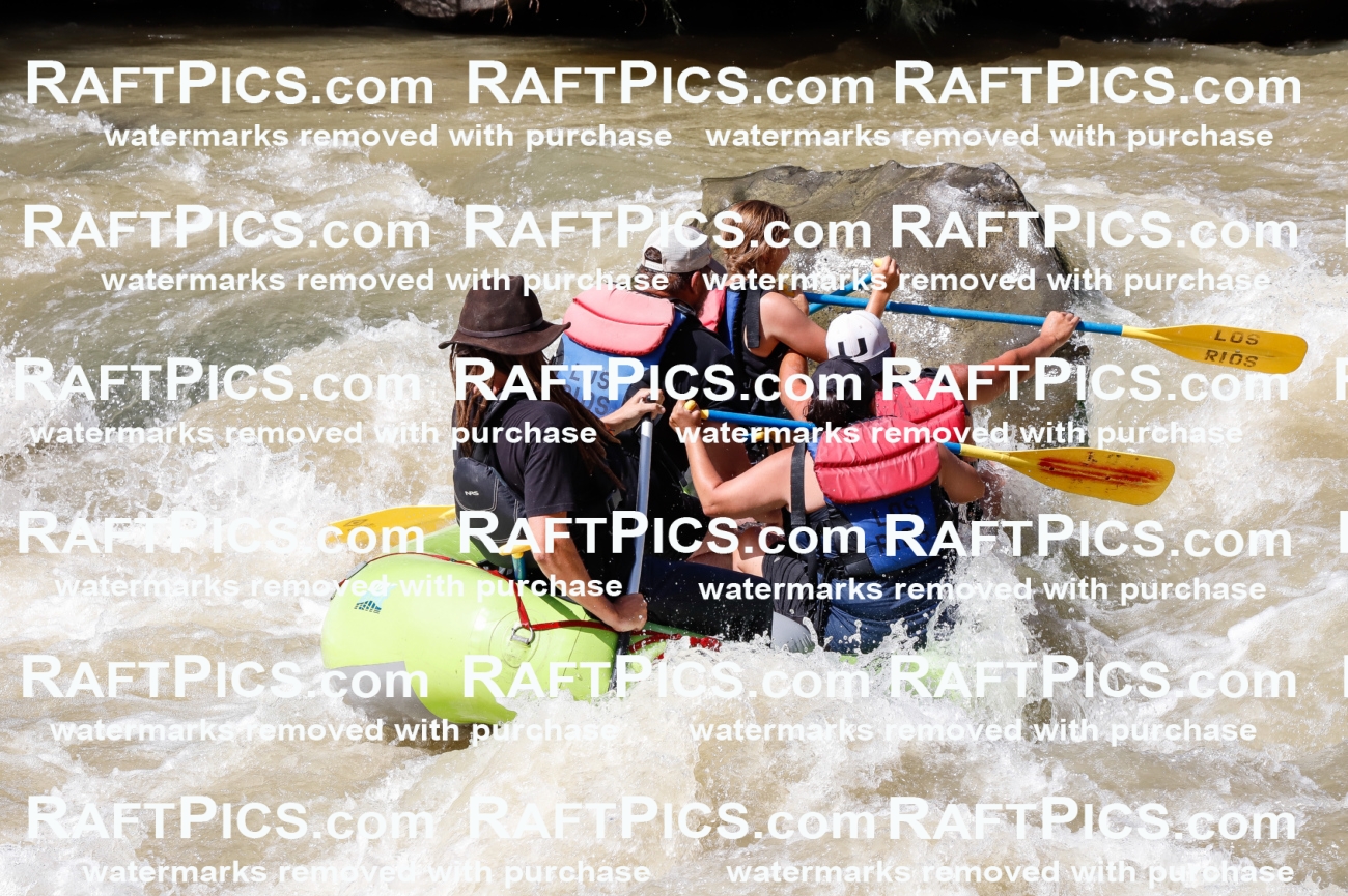 028319_RaftPics_August_17_LosRios_Racecourse_PM_Brodie_TC_