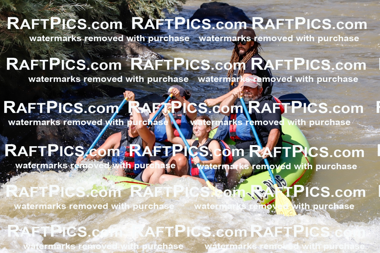 028321_RaftPics_August_17_LosRios_Racecourse_PM_Brodie_TC_