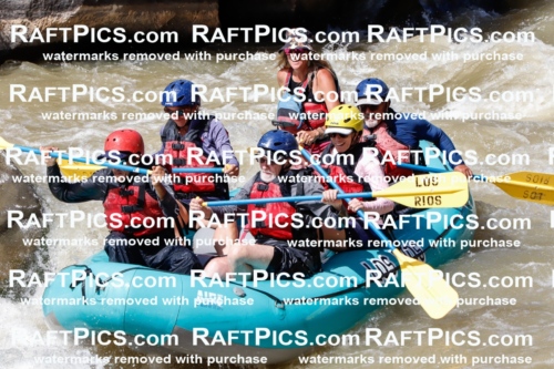 028408_RaftPics_August_17_LosRios_Racecourse_PM_Leslie_TC_