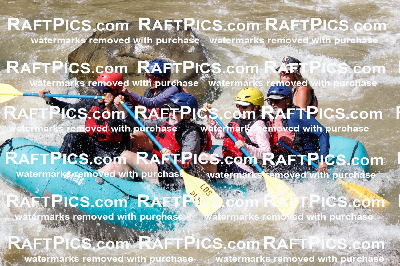 028411_RaftPics_August_17_LosRios_Racecourse_PM_Leslie_TC_