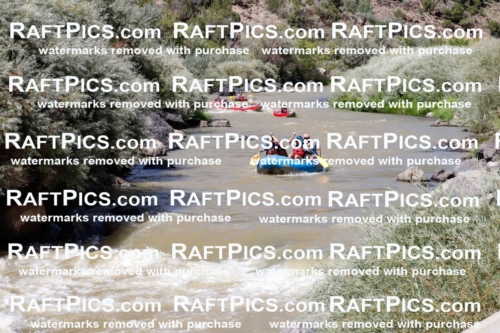 028375_RaftPics_August_17_LosRios_Racecourse_PM_John_TC_