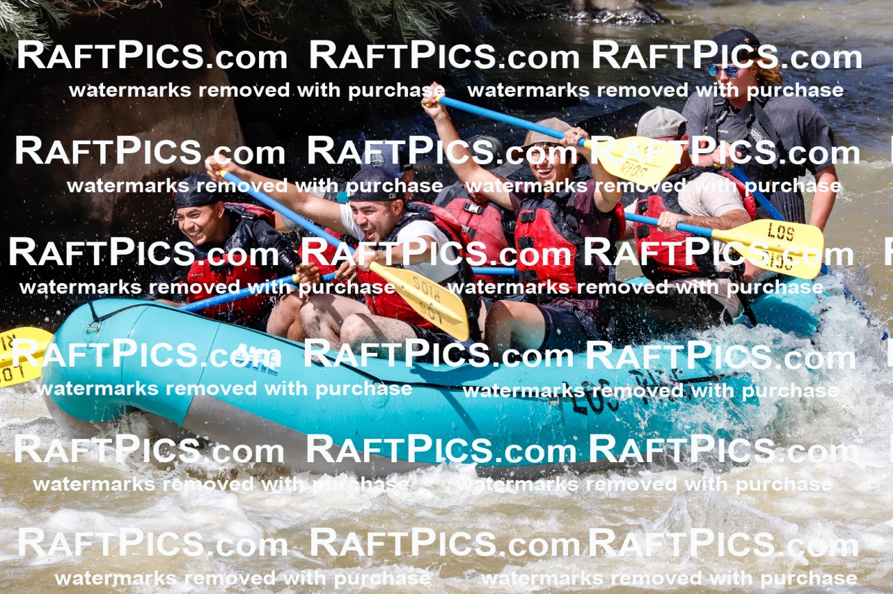 028359_RaftPics_August_17_LosRios_Racecourse_PM_Jackson_TC_