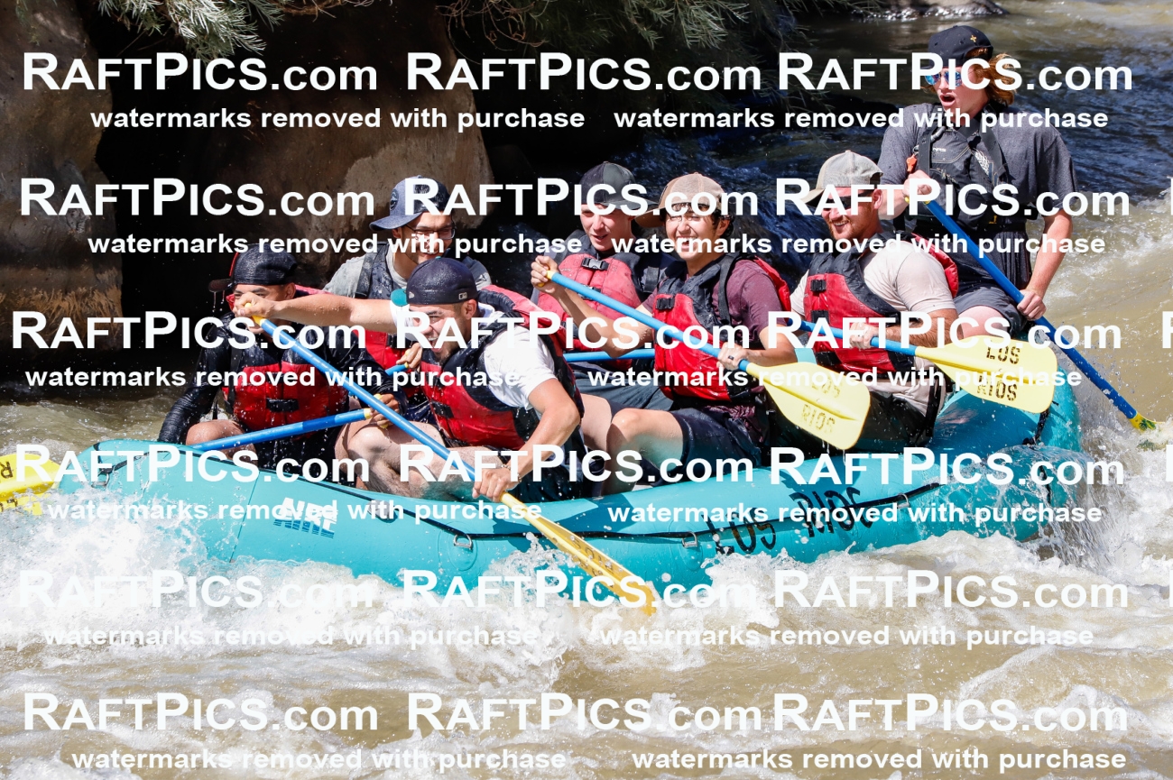 028360_RaftPics_August_17_LosRios_Racecourse_PM_Jackson_TC_