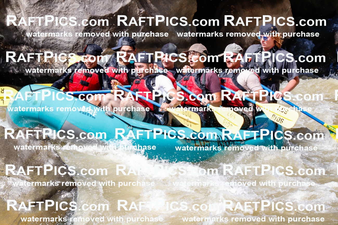 028363_RaftPics_August_17_LosRios_Racecourse_PM_Jackson_TC_