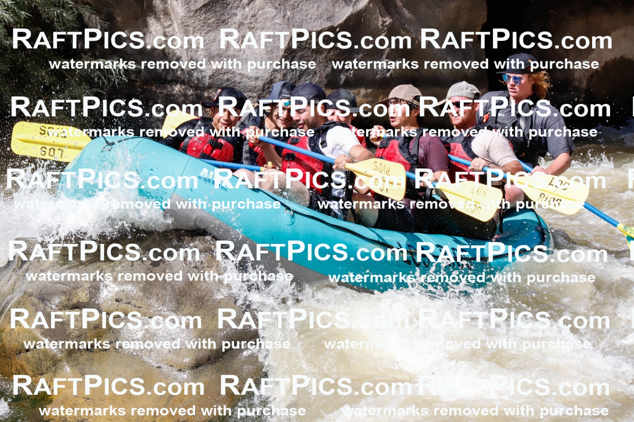 028364_RaftPics_August_17_LosRios_Racecourse_PM_Jackson_TC_