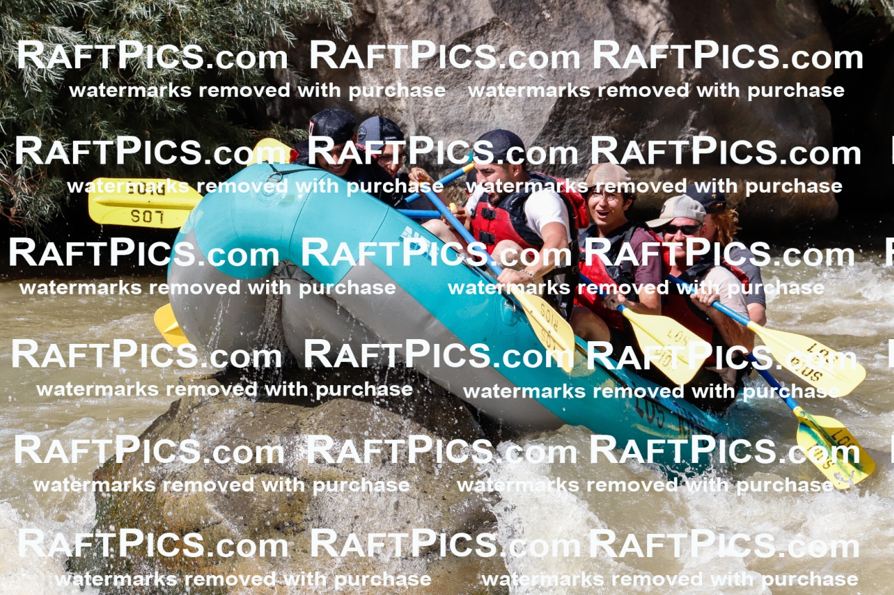 028366_RaftPics_August_17_LosRios_Racecourse_PM_Jackson_TC_