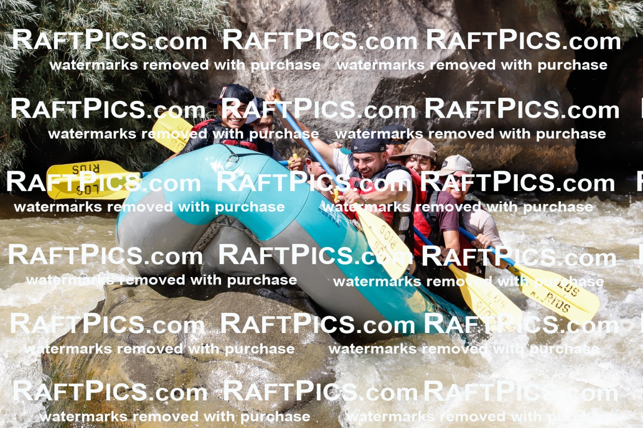 028367_RaftPics_August_17_LosRios_Racecourse_PM_Jackson_TC_