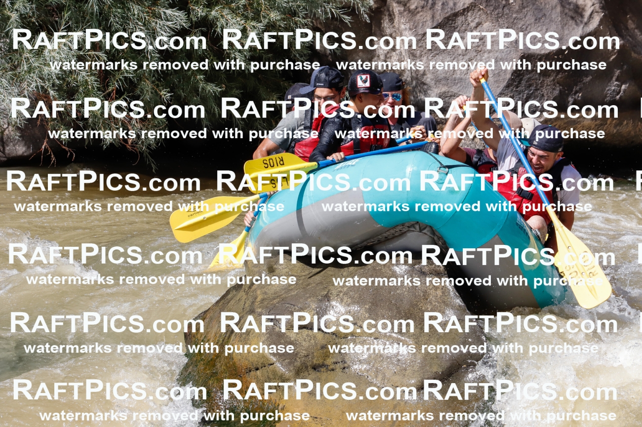 028368_RaftPics_August_17_LosRios_Racecourse_PM_Jackson_TC_