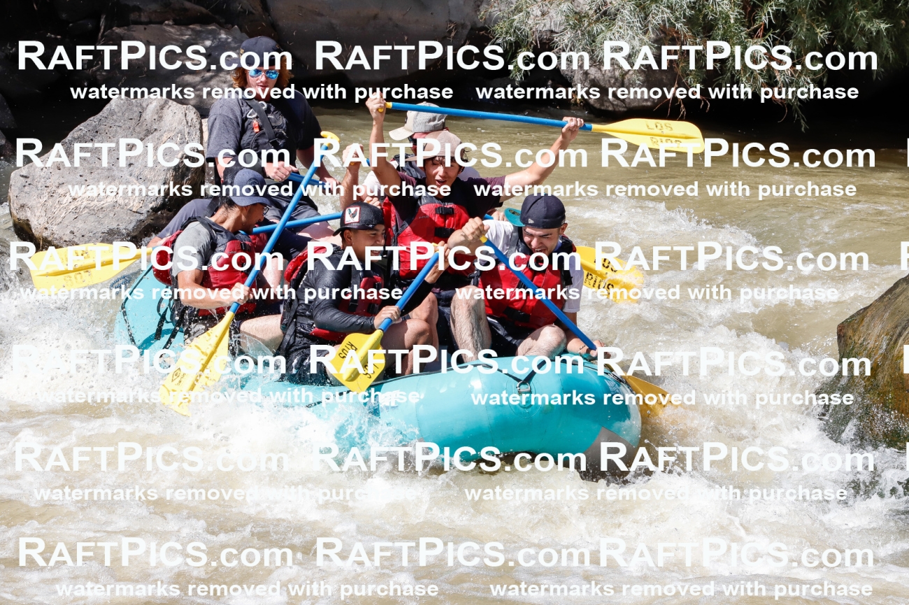 028372_RaftPics_August_17_LosRios_Racecourse_PM_Jackson_TC_