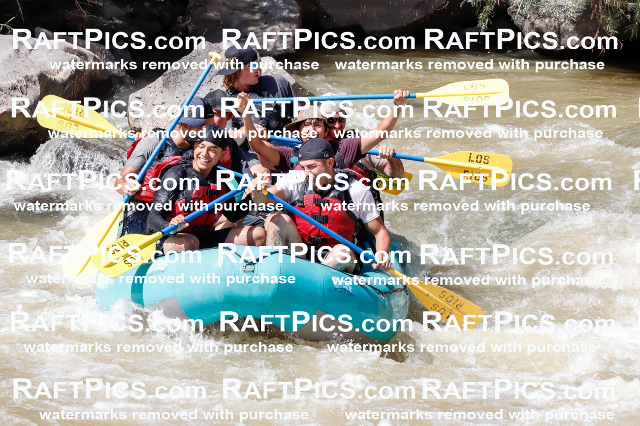 028373_RaftPics_August_17_LosRios_Racecourse_PM_Jackson_TC_