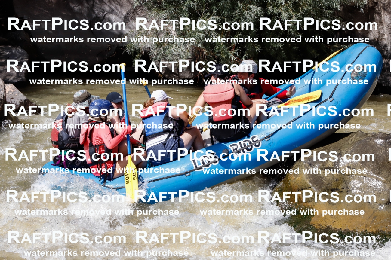 028450_RaftPics_August_17_LosRios_Racecourse_PM_Nate_TC_