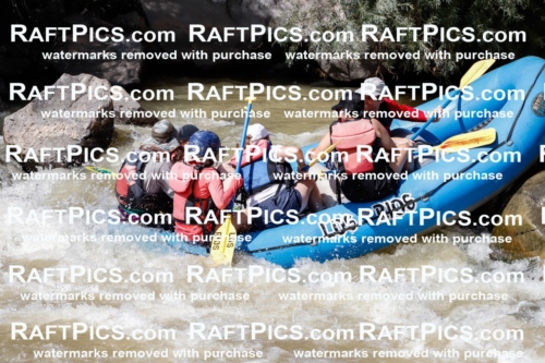 028451_RaftPics_August_17_LosRios_Racecourse_PM_Nate_TC_